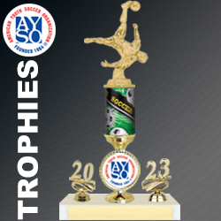 WTC_WebIcons_AYSO-Soccer_Trophies