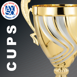 WTC_WebIcons_AYSOSoccer_Cups