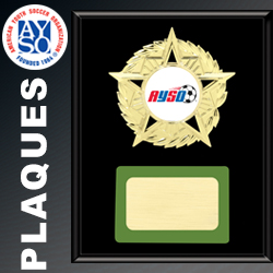 WTC_WebIcons_AYSOSoccer_Plaques