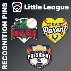 WTC_WebIcons_LLBB_RecognitionPins