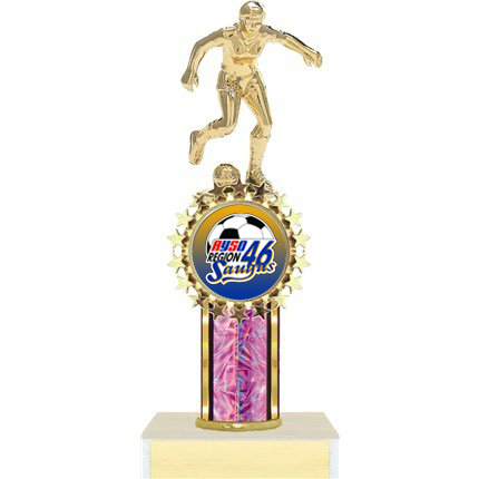 AYSO Trophy - Wilson Trophy Co Series