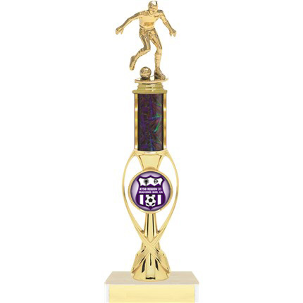 Wilson Series AYSO Trophy with Insert