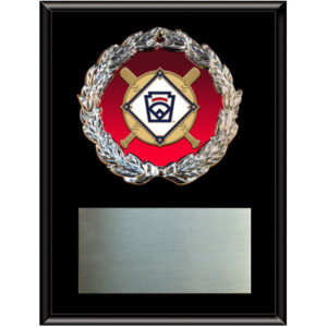 Little League Medal Plaque