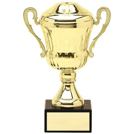 AMC1 Series Cup - Image 2