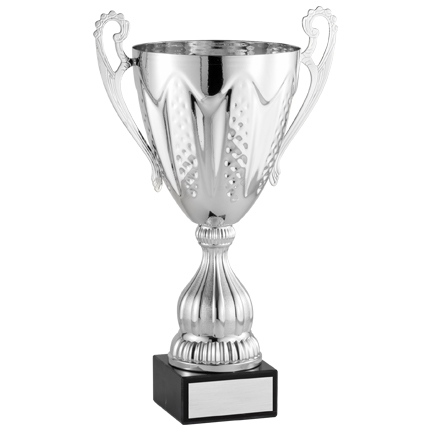 AMC85 Series Cup - Image 2