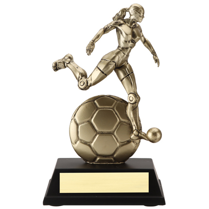 CY-SCF6 Series Resins