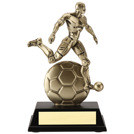 CY-SCM6 Series Resins