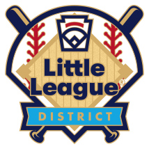 Little League Baseball Tournament Pin Series - District - New Logo