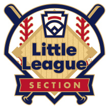 Little League Baseball Tournament Pin Series - Section - New Logo