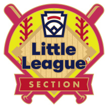 Little League Softball Tournament Pin Series - Section - New Logo