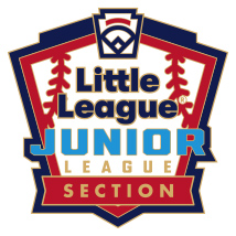 Junior League Baseball Pin Series - Section - New Logo