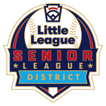 Senior League Baseball Pin Series - District - New Logo