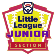Junior League Softball Pin Series - Section - New Logo