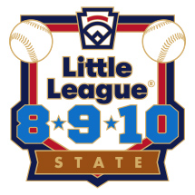 8-9-10 Year Old Baseball Pin Series - State - New Logo