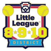 8-9-10 Year Old Softball Pin Series - District - New Logo