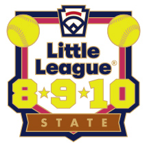8-9-10 Year Old Softball Pin Series - State - New Logo
