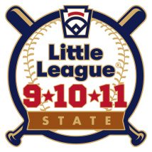 9-10-11 Year Old Baseball Pin Series - State - New Logo