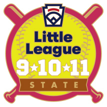 9-10-11 Year Old Softball Pin Series - State - New Logo