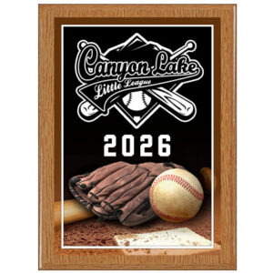 Laser Plaque Series - Baseball