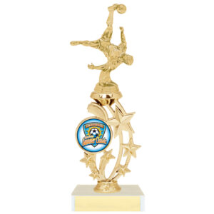 MR-200* Series Trophies