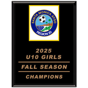 PLQ-CSUB+LAZ Series Plaques