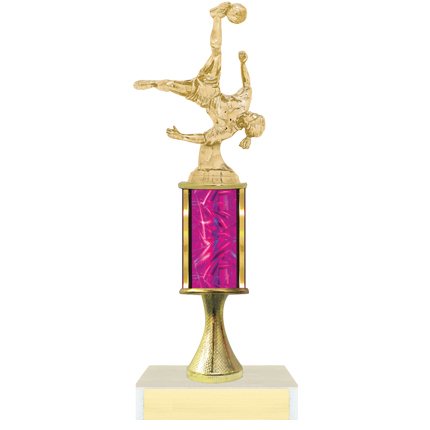 WTC5 Series Trophies