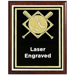 Z68 BSBL Series Plaques